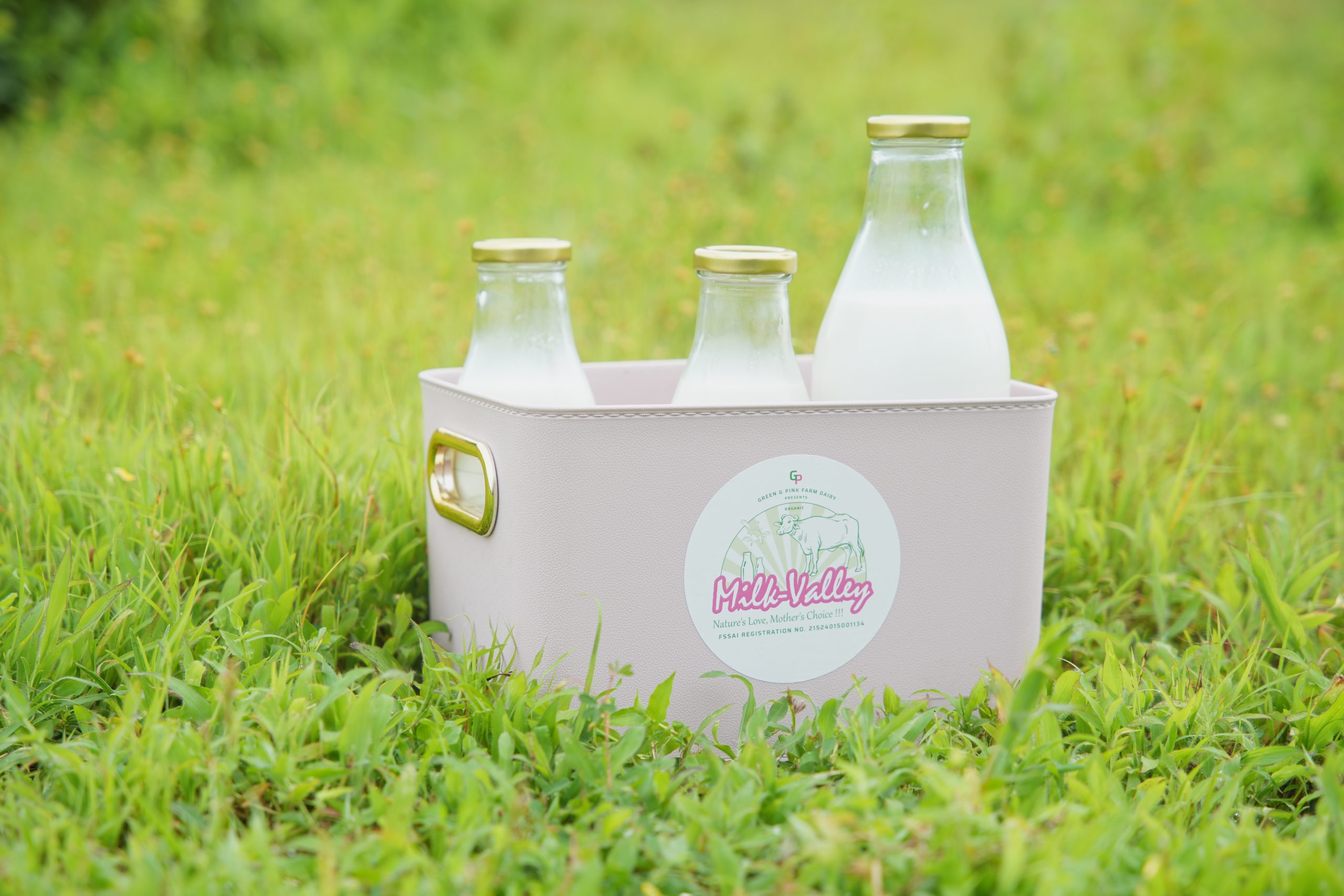 Organic Cow Milk vs. Regular Cow Milk