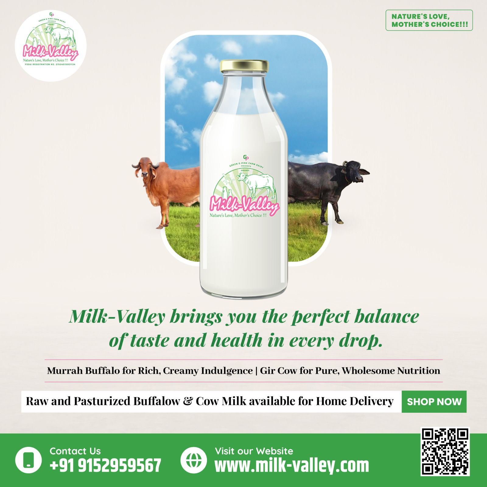 How is Organic Desi Cow Milk and its A2 Protein Beneficial For You?